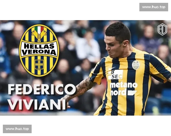 意甲平台入口全面解析畅享足球赛事精彩体验